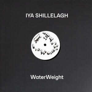 Cover of vinyl record WATERWEIGHT by artist 