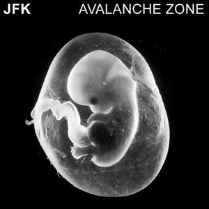 Cover of vinyl record AVALANCHE ZONE by artist 
