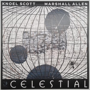 Cover of vinyl record CELESTIAL by artist 