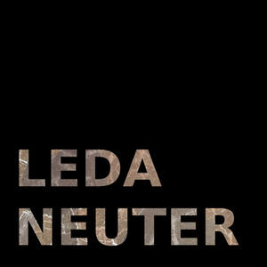 Cover of vinyl record NEUTER by artist 