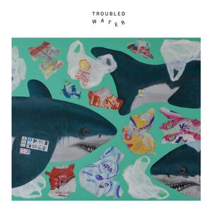 Cover of vinyl record Troubled Water by artist 