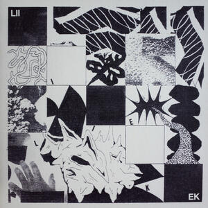 Cover of vinyl record LIIEK by artist 