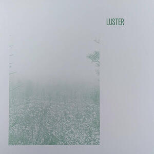 Cover of vinyl record LUSTER by artist 