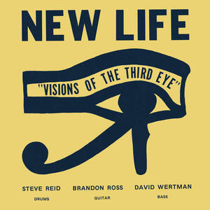 Cover of vinyl record VISIONS OF THE THIRD EYE by artist 