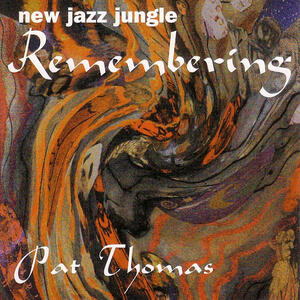 Cover of vinyl record NEW JAZZ JUNGLE: REMEMBERING by artist 