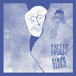 Cover of vinyl record SPLLIT SIDES by artist 
