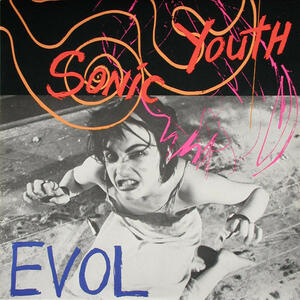 Cover of vinyl record EVOL by artist 