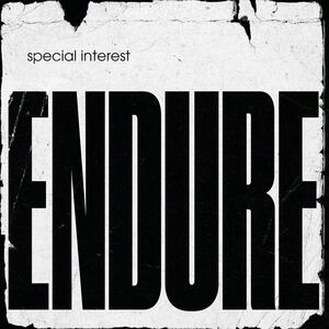 Cover of vinyl record ENDURE by artist 