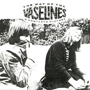 Cover of vinyl record THE WAY OF THE VASELINES - A COMPLETE HISTORY by artist 