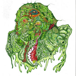 Cover of vinyl record MUSIC FROM THE OTHER side of the swamp by artist 