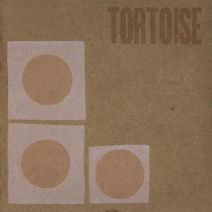 Cover of vinyl record TORTOISE by artist 