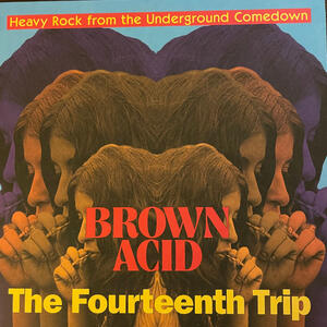 Cover of vinyl record BROWN ACID :THE FOURTEENTH TRIP by artist 
