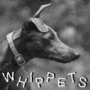 Cover of vinyl record WHIPPETS by artist 