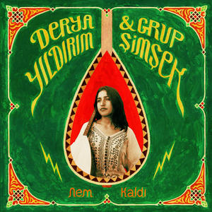 Cover of vinyl record NEM KALDI by artist 