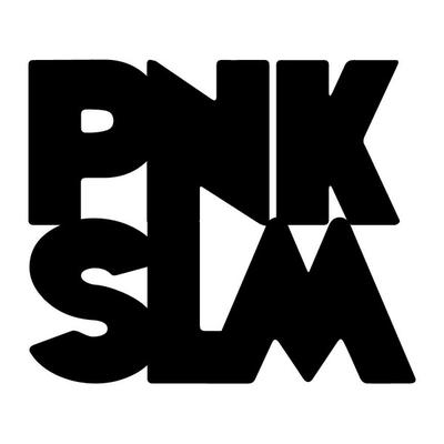 Label PNKSLM RECORDINGS - Zoezoe Records